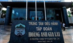 Chăn nuôi heo tiếp tục mang về cho HAG gần 183 tỉ đồng doanh thu trong quý 3/2021 (Ảnh: Internet)