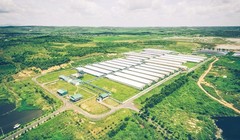 Một trại heo giống tại Đắk Nông của GreenFeed Việt Nam