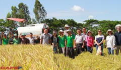 Lộc Trời: Đằng sau sự chấm dứt với Syngenta và mô hình nhà máy 1 triệu ha sản xuất ‘Just in time’