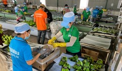 Bầu Đức và chiến lược đưa Hoàng Anh Gia Lai 'trở lại'