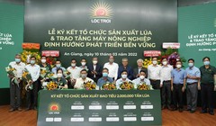 Lộc Trời liên kết sản xuất bao tiêu 2 triệu tấn lúa với nông dân An Giang (Ảnh: LTG)