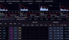 Cổ phiếu FLC lại ‘trắng bên mua’