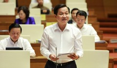 Phó Thủ tướng Lê Minh Khái (Ảnh: VGP)