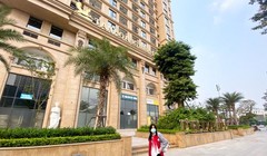 Tân Hoàng Minh gom được 2.100 tỉ đồng, nhưng chưa thể hoàn tiền cho nhà đầu tư