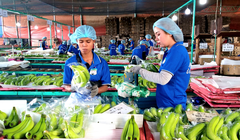 Công ty của 'bầu' Đức lãi nghìn tỉ đồng lần đầu tiên sau 8 năm