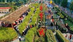 Đường hoa Home Hanoi Xuan 2023