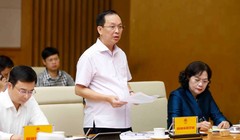 Phó Thống đốc NHNN Đào Minh Tú (Ảnh: VGP)