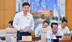 Chủ nhiệm Ủy ban Kinh tế của Quốc hội Vũ Hồng Thanh (Ảnh: quochoi.vn)