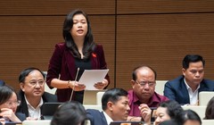 'Giảm tỉ lệ sở hữu tại ngân hàng khó ngăn tái diễn vụ việc như SCB'