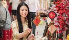 Người đẹp thu hút ánh nhìn với áo dài truyền thống đón xuân 