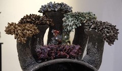 Tác phẩm gốm "Những đóa hoa nảy mầm" của họa sĩ Nguyễn Thị Dũng 