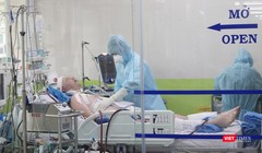 Bệnh nhân 91, phi công người Anh đang được tiếp tục điều trị tích cực tại BV Chợ Rẫy (Ảnh: BVCC) 