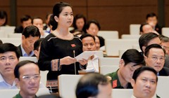 “Phát ngôn gây “bão” của ĐBQH Ksor Phước Hà, cho rằng cao su độc, hút O2, nhả CO2 (Ảnh: QHVN)