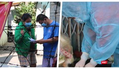 Toàn bộ xét nghiệm của F1, F2 trên địa bàn TP.HCM đều âm tính (Ảnh: Hải Linh, Hoà Bình ghép)