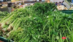 Nguồn cung ứng rau xanh và thực phẩm tươi sống cho TP.HCM bị thiếu trầm trọng trong những ngày vừa rồi - Ảnh: Hoà Bình 