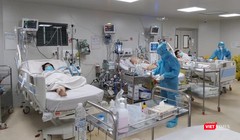 Điều trị bệnh nhân COVID-19 nặng - Ảnh: HCDC