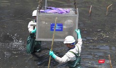 Nhóm kỹ sư lắp đặt máy xử lý nước tại sông Tô Lịch.