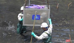Chuyên gia Nhật lắp máy móc công nghệ nano để xử lý nước sông Tô Lịch tại Hà Nội vào tháng 5/2019.