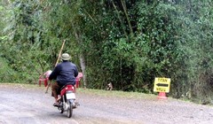  Đường vào phim trường ở thôn Yên Phú