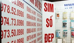 Sim 'siêu đẹp' 9 con 8 sẽ được đấu giá