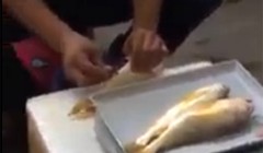 Kinh hoàng "công nghệ" biến cá ươn thành tươi ngon