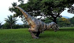 Video: Khủng long bạo chúa nhảy nhót đầy kích động