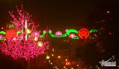 Trang trí Hà Nội lạm dụng ánh sáng xanh đỏ lòe loẹt