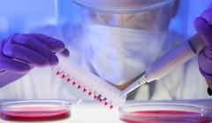 Giải mã bí ẩn ung thư