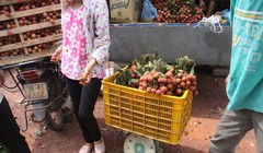 (Hình ảnh có tính chất minh họa)