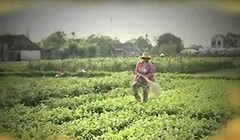 VTV thừa nhận phóng viên đã vi phạm qui trình tác nghiệp báo chí, phản ánh không trung thực sự việc và có dàn dựng một số cảnh quay trong phóng sự