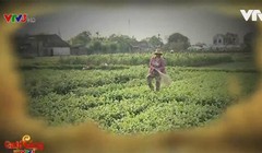 VTV xác nhận, phóng viên thực hiện phóng sự này đã vi phạm nghiêm trọng đạo đức nghề báo.