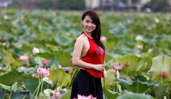 Video: Hà Nội vào mùa Sen