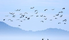 “Les sourires du Vietnam” (Những nụ cười Việt Nam) mang đến cho người xem những hình ảnh tuyệt đẹp về phong cảnh, đất nước, con người Việt Nam (ảnh minh họa)