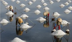 Hình ảnh khá quyến rũ bởi vẻ đẹp đặc trưng khác lạ của nó giữa thiên nhiên rộng lớn.