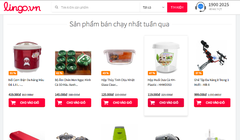 Lingo.vn từng tham vọng là website TMĐT số 1 Việt Nam.