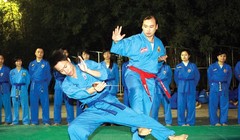 Võ sư Lê Hải Bình trên sàn tập võ Vovinam 