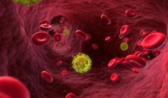 Virus HIV trong máu bệnh nhân.