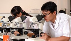 Ảnh minh hoạ: Internet.