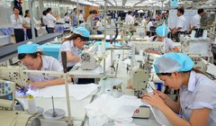 Ảnh minh hoạ: Internet