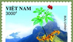 Mẫu tem Sâm Ngọc Linh