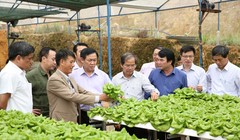 Phó Thủ tướng Vương Đình Huệ thăm khu nhà sản xuất rau bó xôi công nghệ cao có thời gian từ ươm giống tới thu hoạch chỉ trong 15 ngày của HTX Tân Tiến, Lâm Đồng. Ảnh: VGP/Thành Chung