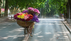 Thời tiết những ngày qua đang tốt dần lên. Ảnh minh hoạ: Giadinh.net.vn