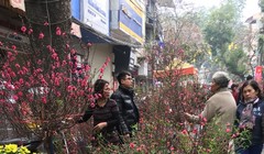 Chợ hoa Hàng Lược. 