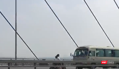 Ảnh chụp màn hình.