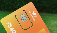 Thuê bao Thánh Sim sẽ không được đăng ký các gói data 4G sắp triển khai của Vietnamobile.