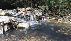 Ô nhiễm nguồn nước đầu nguồn Sông Đà gây ảnh hưởng nghiêm trọng tới chất lượng nước cung cấp cho người dân Hà Nội.