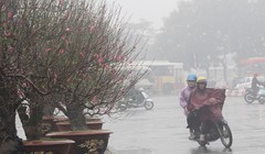 Ảnh: Ngày mới online.