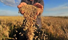 Ảnh minh họa: Bộ NN&PTNT.