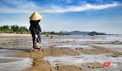 Dù mức thu nhập không cao nhưng bà Bông vẫn luôn gắn bó với nghề.