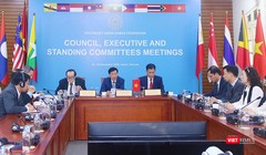 Đầu cầu Việt Nam tham dự trực tuyến phiên làm việc của Hội đồng Liên đoàn Thể thao Đông Nam Á.